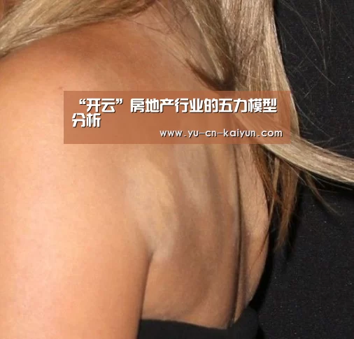 “开云”房地产行业的五力模型分析(图1) 开云