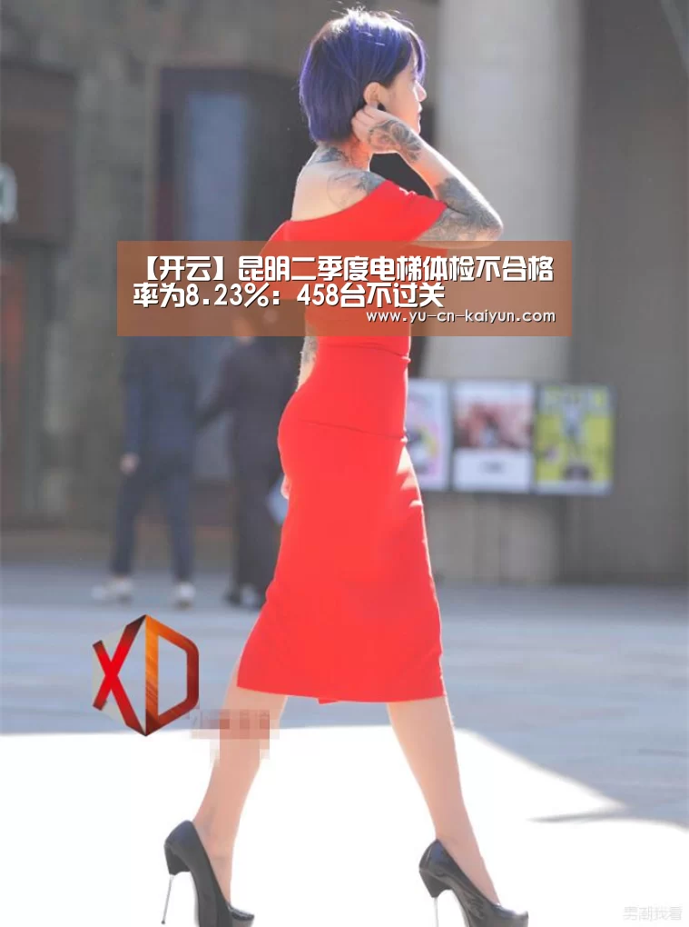 【开云】昆明二季度电梯体检不合格率为8.23%:458台不过关(图2) 【开云】昆明二季度电梯体检不合格率为8.23%:458台不过关(图2)