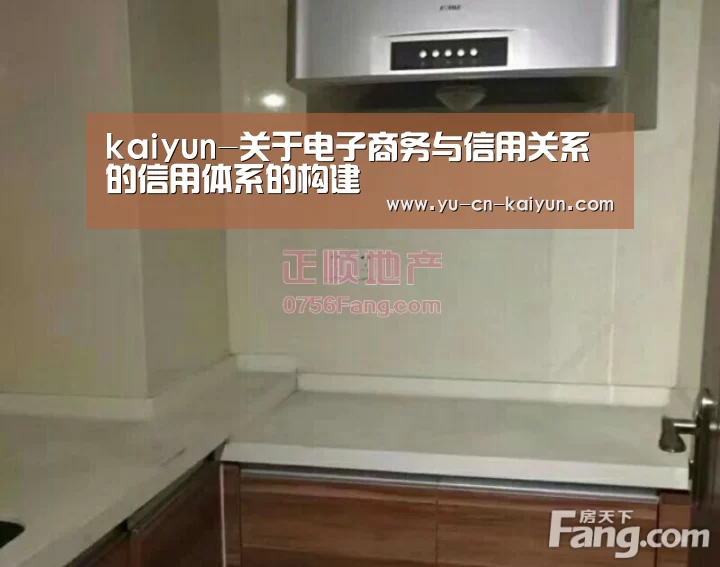 kaiyun-关于电子商务与信用关系的信用体系的构建(图3)