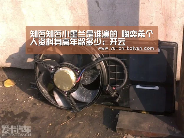 知否知否小墨兰是谁演的 陶奕希个人资料身高年龄多少:开云(图1) 知否知否小墨兰是谁演的 陶奕希个人资料身高年龄多少:开云(图1)