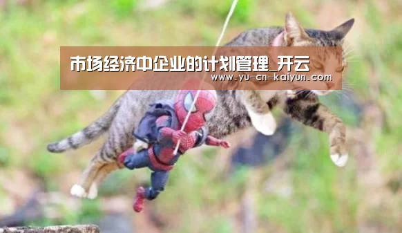 市场经济中企业的计划管理_开云(图1) 开云