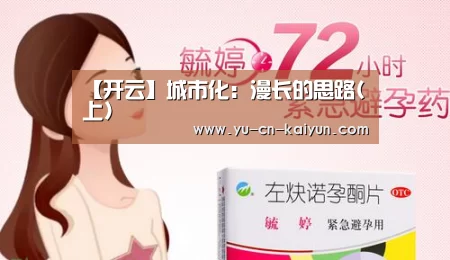 【开云】城市化:漫长的思路(上)(图3) 开云