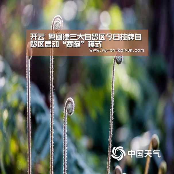 开云_粤闽津三大自贸区今日挂牌自贸区启动“赛跑”模式(图4) 开云
