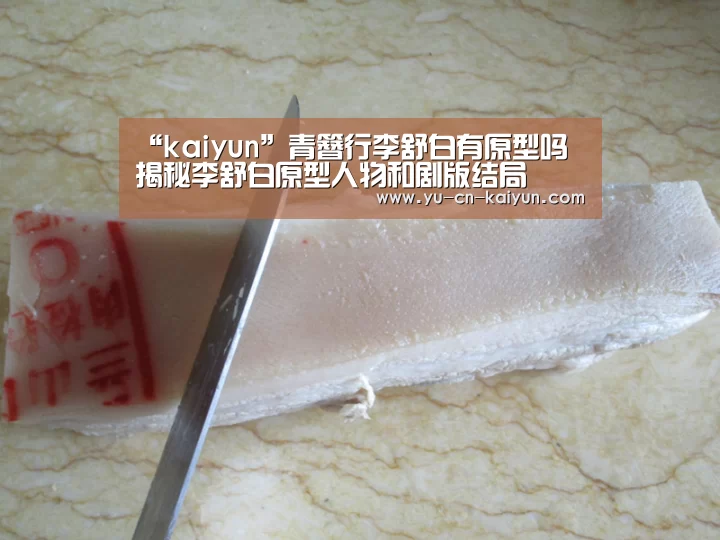 “kaiyun”青簪行李舒白有原型吗 揭秘李舒白原型人物和剧版结局(图2) 开云