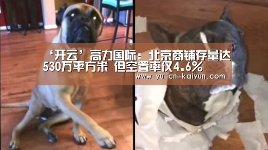 ‘开云’高力国际:北京商铺存量达530万平方米 但空置率仅4.6%(图1) 开云